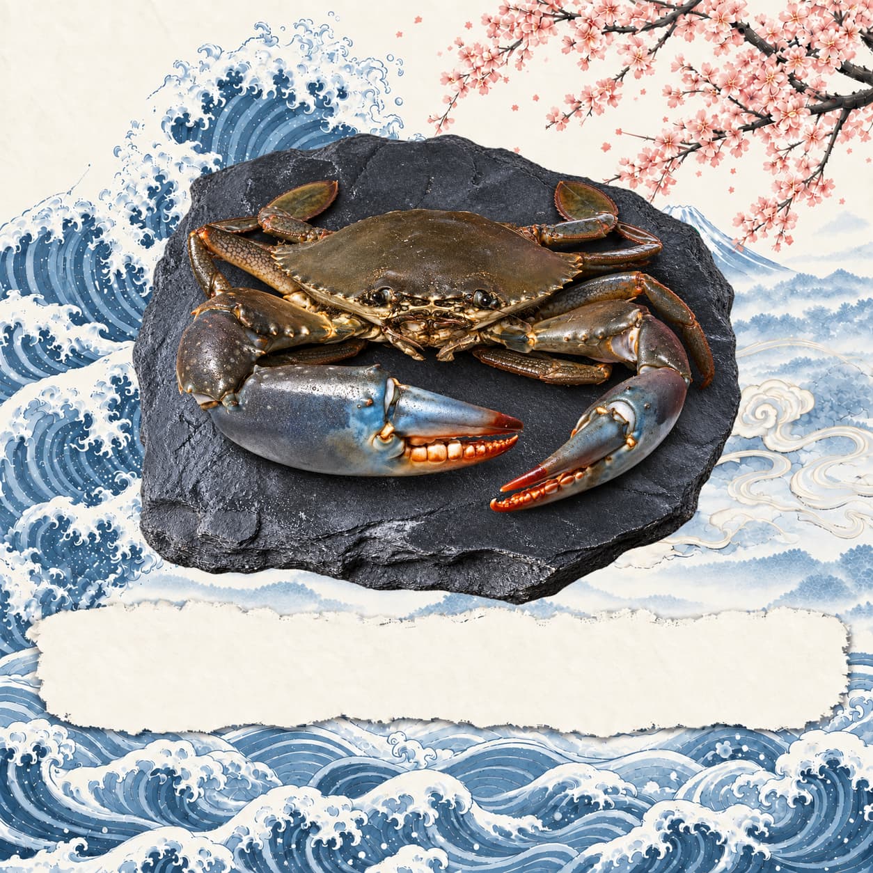 Live Mud Crab 活泥蟹