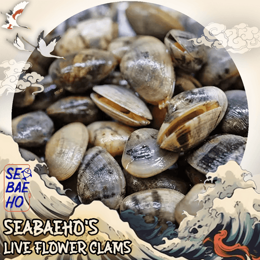 Live Flower Clam 花蛤