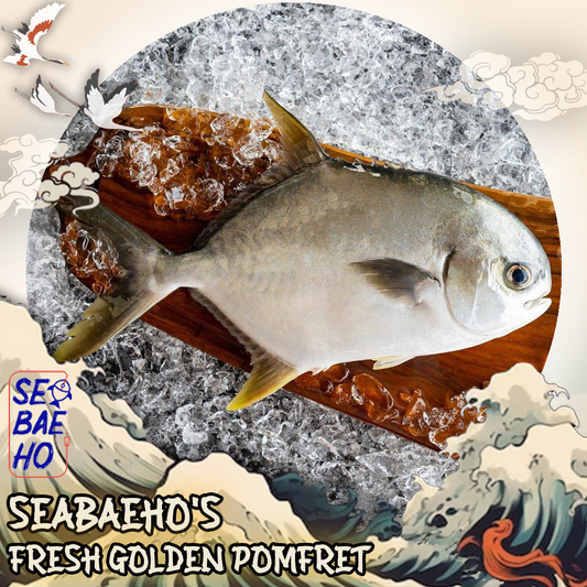 Golden Pomfret 金鲳魚