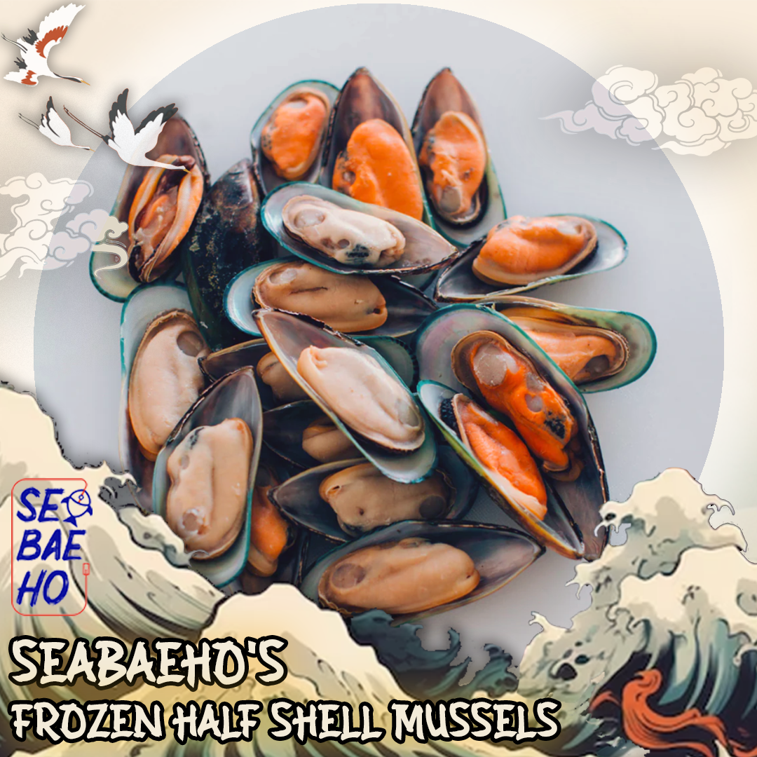 Half Shell Mussels 蚝壳