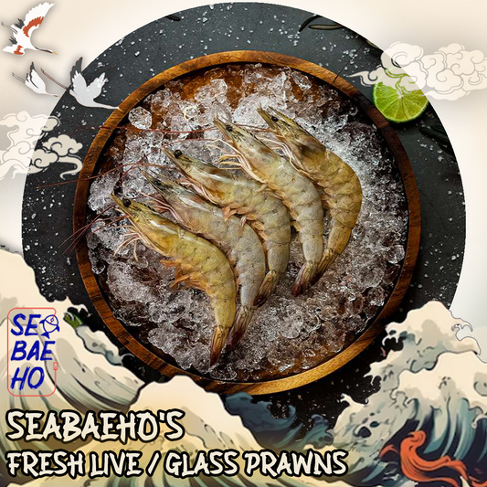 Live/Glass Prawns 活虾