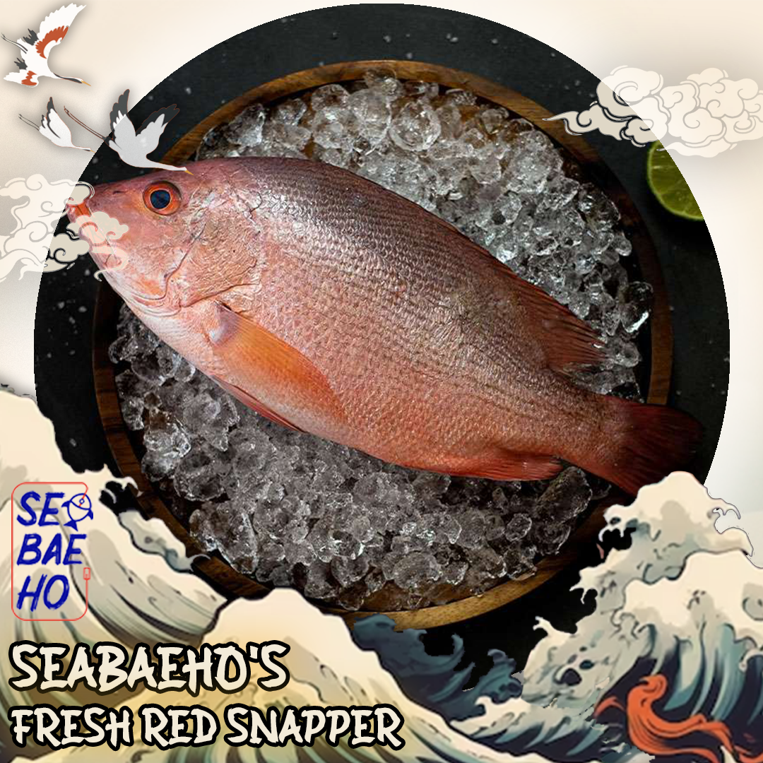 Red Snapper 红鲷鱼 (Whole / Fillet / Sliced / Head)