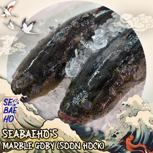 Marbled Goby (Soon Hock) 笋壳鱼