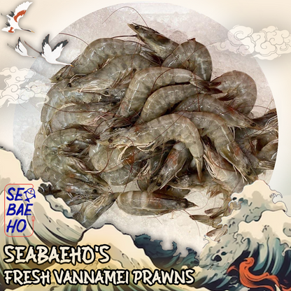 Vannamei Prawns 美人虾