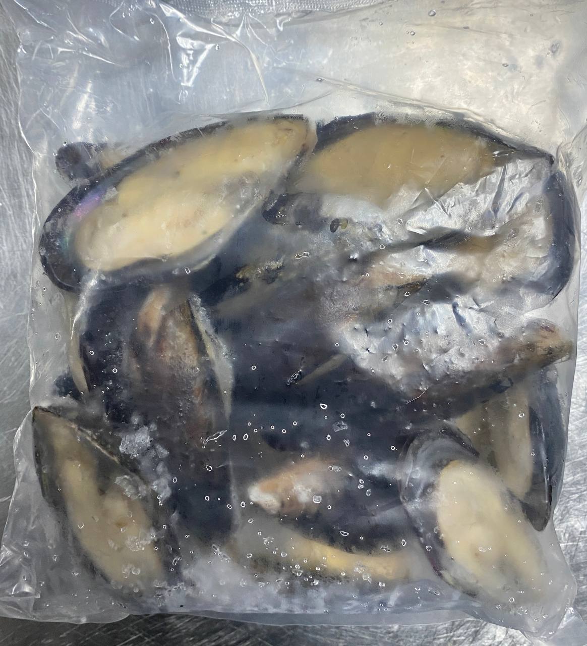 Half Shell Mussels 蚝壳